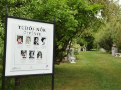 Szeged, Növények Napja, Füvészkert, Tudós nők ösvénye, kerámia, szobor