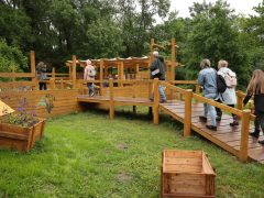 Szeged, Növények Napja, Füvészkert, természet, tavasz, növények, növényritkaságok, Noé bárkája