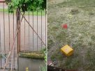 Özönvíz zúdult Makóra, Békéscsabán hömpölygött a víz az utcákon
