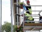 Szeged, Borfesztivál, Szeged Napja, muskátli, Belvárosi híd