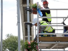 Szeged, Borfesztivál, Szeged Napja, muskátli, Belvárosi híd