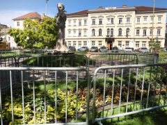 Szeged, Borfesztivál, Szeged Napja, kordon, virágágyások, Széchenyi tér