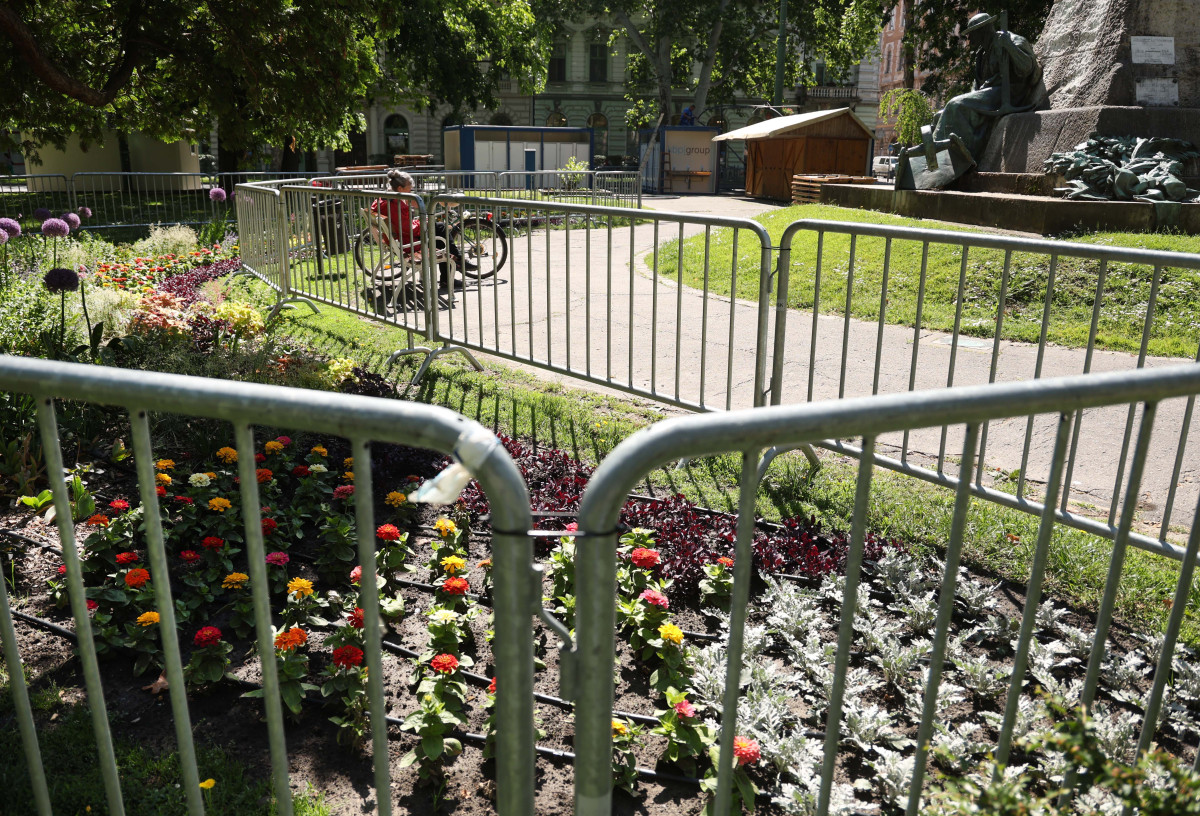 Szeged, Borfesztivál, Szeged Napja, kordon, virágágyások, Széchenyi tér