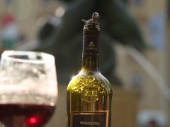 Szeged, borrendek, felvonulás, Caramel koncert, megnyitó, Borfesztivál, bor, Széchenyi tér