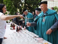 Szeged, borrendek, felvonulás, Caramel koncert, megnyitó, Borfesztivál, bor, Széchenyi tér