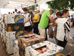 Szeged, Ételt az Életért Alapítváy, ételosztás, Anna-kút, rászorulók
