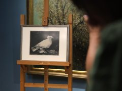 Szeged, Fogas Ottó, Móra Ferenc Múzeum, múzeum, sajtótájékoztató, Picasso, kiállítás