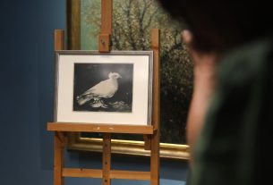 Szeged, Fogas Ottó, Móra Ferenc Múzeum, múzeum, sajtótájékoztató, Picasso, kiállítás