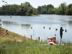 Szeged, strand, szabadstrand, Sárga, Tisza, Tisza part, meleg, időjárás, nyár, napozás, fürdés