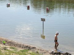 Szeged, strand, szabadstrand, Sárga, Tisza, Tisza part, meleg, időjárás, nyár, napozás, fürdés