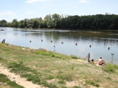 Szeged, strand, szabadstrand, Sárga, Tisza, Tisza part, meleg, időjárás, nyár, napozás, fürdés