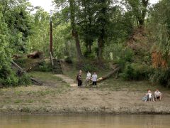 Szeged, tiszavirágzás, június 9., Tisza, természet