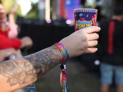 Szeged, Deja Vu, Fesztivál, Partfürdő, koncert