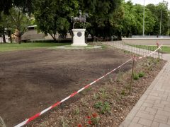 Szeged, zöldterület, szépül, park, zöldítés, Móra Ferenc Múzeum, Móra park