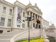 Szeged, Picasso, kliállítás, Móra Ferenc Múzeum, múzeum