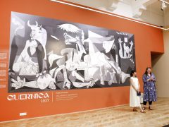 Szeged, Picasso, kliállítás, Móra Ferenc Múzeum, múzeum, sajtóbejárás, kultura