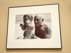 Szeged, Picasso, kliállítás, Móra Ferenc Múzeum, múzeum, sajtóbejárás, kultura