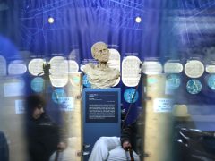 Szeged, Picasso, kliállítás, Móra Ferenc Múzeum, múzeum, sajtóbejárás, kultura