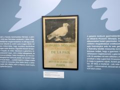 Szeged, Picasso, kliállítás, Móra Ferenc Múzeum, múzeum, sajtóbejárás, kultura