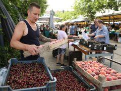 Szeged, nyár, június, gyümölcs, zöldség, Mars téri piac, piac, barack, cseresznye, meggy, dinnye, kukorica, tök, cékla, cukkini, uborka, karfiol