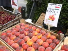 Szeged, nyár, június, gyümölcs, zöldség, Mars téri piac, piac, barack, cseresznye, meggy, dinnye, kukorica, tök, cékla, cukkini, uborka, karfiol