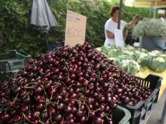 Szeged, nyár, június, gyümölcs, zöldség, Mars téri piac, piac, barack, cseresznye, meggy, dinnye, kukorica, tök, cékla, cukkini, uborka, karfiol