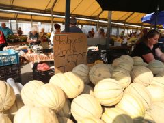 Szeged, nyár, június, gyümölcs, zöldség, Mars téri piac, piac, barack, cseresznye, meggy, dinnye, kukorica, tök, cékla, cukkini, uborka, karfiol
