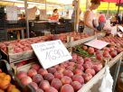 Szeged, nyár, június, gyümölcs, zöldség, Mars téri piac, piac, barack, cseresznye, meggy, dinnye, kukorica, tök, cékla, cukkini, uborka, karfiol