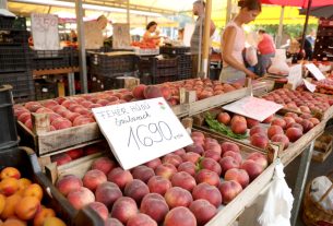 Szeged, nyár, június, gyümölcs, zöldség, Mars téri piac, piac, barack, cseresznye, meggy, dinnye, kukorica, tök, cékla, cukkini, uborka, karfiol