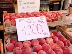 Szeged, nyár, június, gyümölcs, zöldség, Mars téri piac, piac, barack, cseresznye, meggy, dinnye, kukorica, tök, cékla, cukkini, uborka, karfiol