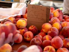 Szeged, nyár, június, gyümölcs, zöldség, Mars téri piac, piac, barack, cseresznye, meggy, dinnye, kukorica, tök, cékla, cukkini, uborka, karfiol