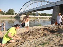 Szeged, Szívós Sándor, Lapos, homok krokodil, krokodil