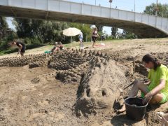 Szeged, Szívós Sándor, Lapos, homok krokodil, krokodil