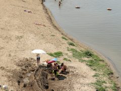Szeged, Szívós Sándor, Lapos, homok krokodil, krokodil