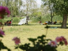 Szeged, hőségriadó, nyár, kánikula, meleg, hőség, napsütés, időjárás, Sziki, Sziksósfürdő Naturista Strand, nudi, nudista, nudista strand, tó, fürdőzés, napozás, kemping