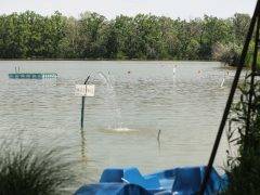 Szeged, hőségriadó, nyár, kánikula, meleg, hőség, napsütés, időjárás, Sziki, Sziksósfürdő Naturista Strand, nudi, nudista, nudista strand, tó, fürdőzés, napozás, kemping