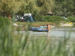 Szeged, hőségriadó, nyár, kánikula, meleg, hőség, napsütés, időjárás, Sziki, Sziksósfürdő Naturista Strand, nudi, nudista, nudista strand, tó, fürdőzés, napozás, kemping