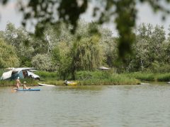 Szeged, hőségriadó, nyár, kánikula, meleg, hőség, napsütés, időjárás, Sziki, Sziksósfürdő Naturista Strand, nudi, nudista, nudista strand, tó, fürdőzés, napozás, kemping