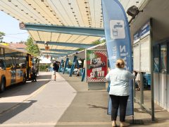 Szeged, nyár, kánikula, meleg, hőség, hőségriadó, Mars téri buszpályaudvar, buszpályaudvar, ivóvíz, víz, ivóvíz osztás