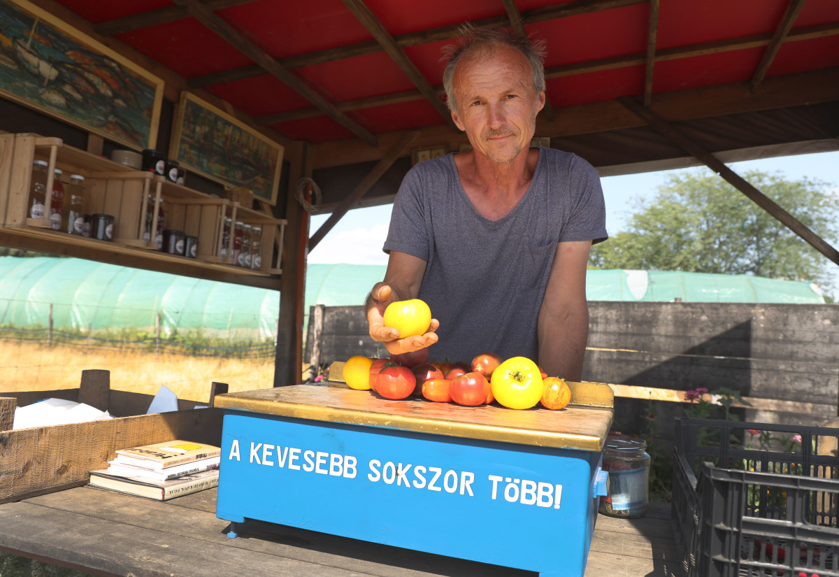 Szentes, Szabó Csaba, biokertész, Helóta Biokert, biokert, gazdaság, paradicsom, paprika