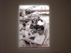 Szeged, 95 éves, Szegedi Szabadtéri Játékok, kiállítás, Reök palota, kultura