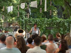 Szeged, 36. Thealter Fesztivál, Thealter, Bableves, régi zsinagóga, kultura