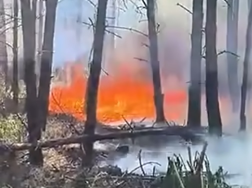 Hatalmas tűz volt Kisszállásnál, Szegedet is elérte a füst