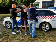 Marihuánaültetvényt számoltak fel a szentesi nyomozók