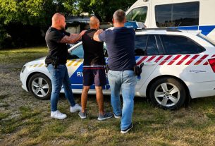 Marihuánaültetvényt számoltak fel a szentesi nyomozók