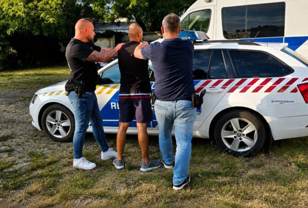 Marihuánaültetvényt számoltak fel a szentesi nyomozók