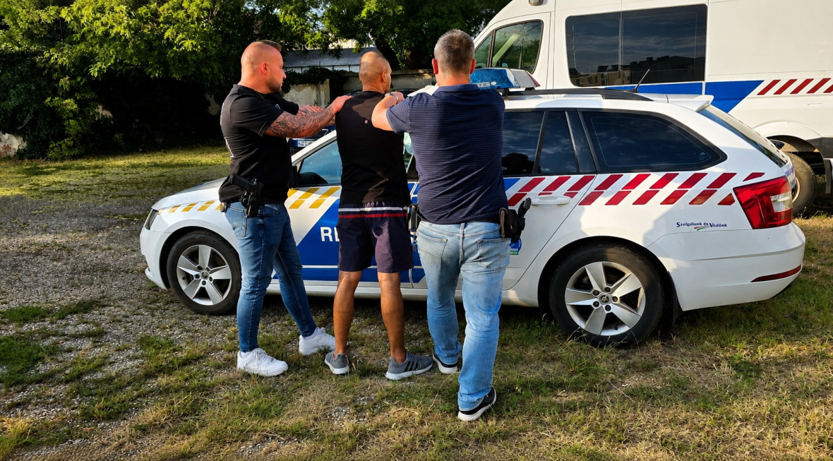 Marihuánaültetvényt számoltak fel a szentesi nyomozók