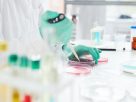 laboratórium