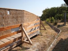 Mórahalom, Szikes Mórahalom Látogatóközpont, Bivalyrezervátum, Gólyamenedékház, Nagyszéksós-tó, természet