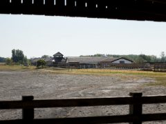 Mórahalom, Szikes Mórahalom Látogatóközpont, Bivalyrezervátum, Gólyamenedékház, Nagyszéksós-tó, természet